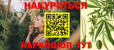 сатива Кизилюрт