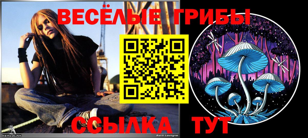 Абинск  Псилоцибиновые грибы GOLDEN TEACHER  Вход с VPN 