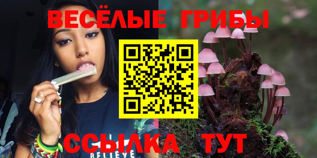 Псилоцибиновые грибы Cubensis Абинск
