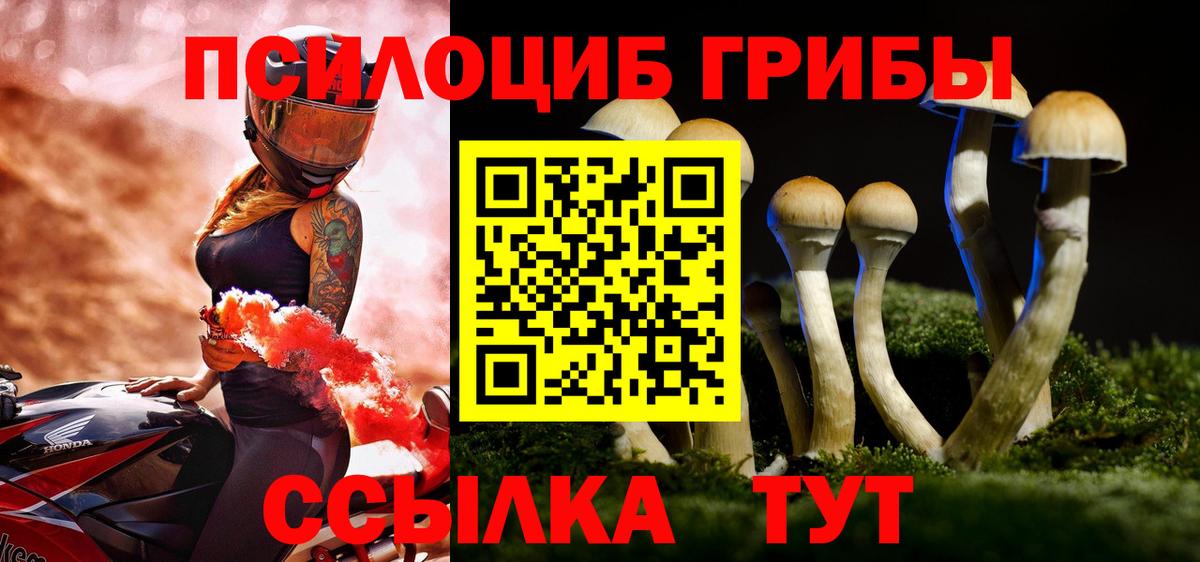 Лсд 25 Абинск